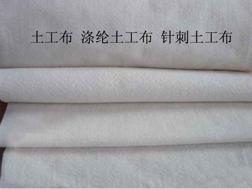 涤沦好色TV下载安装