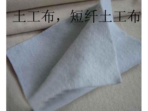 好色TV下载安装